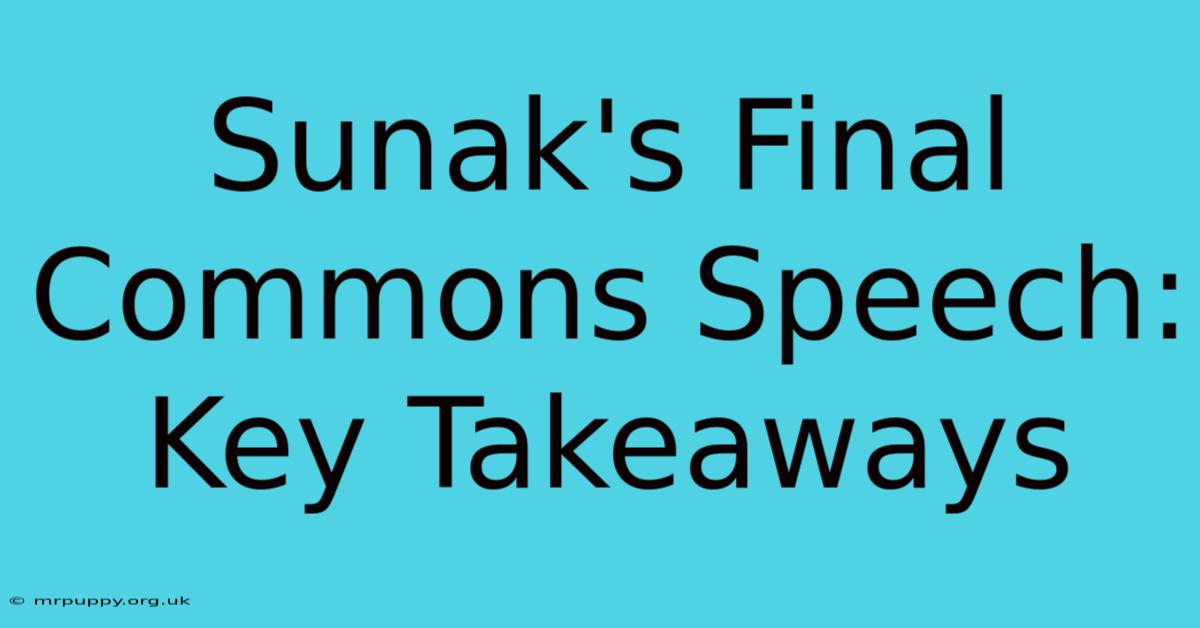 Sunak's Final Commons Speech: Key Takeaways