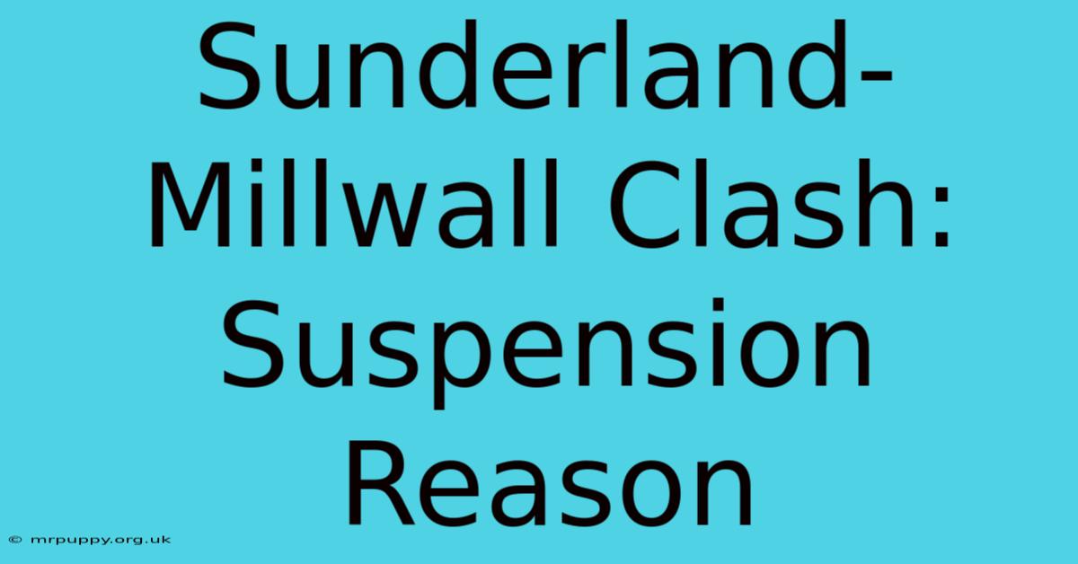 Sunderland-Millwall Clash: Suspension Reason