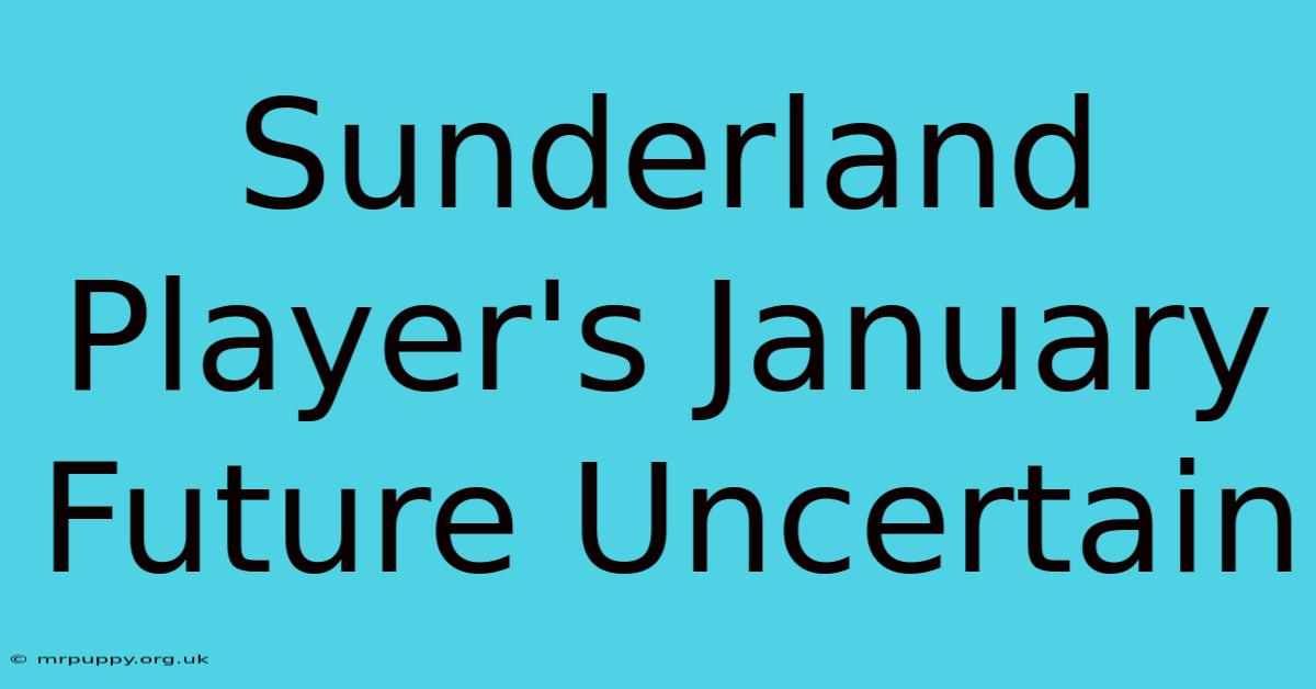 Sunderland Player's January Future Uncertain