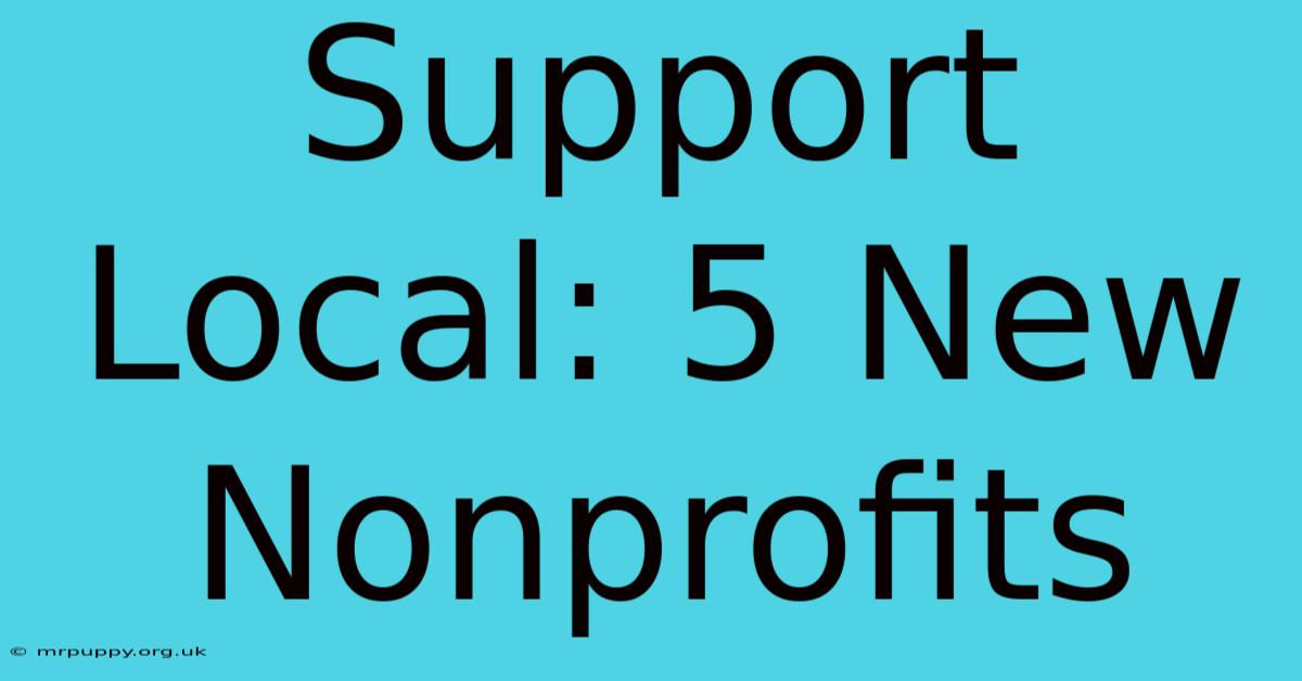 Support Local: 5 New Nonprofits