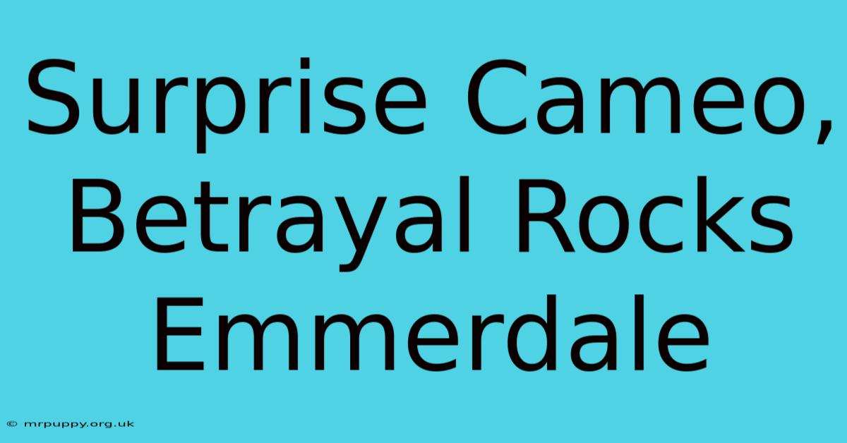 Surprise Cameo, Betrayal Rocks Emmerdale