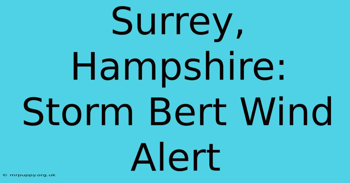 Surrey, Hampshire: Storm Bert Wind Alert