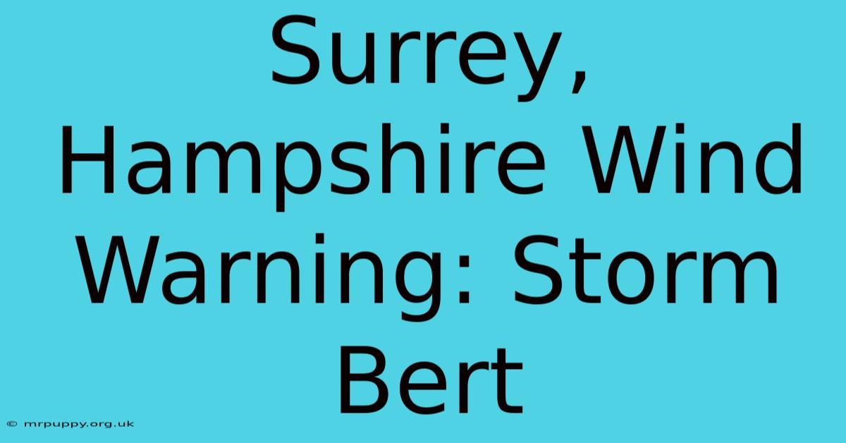 Surrey, Hampshire Wind Warning: Storm Bert