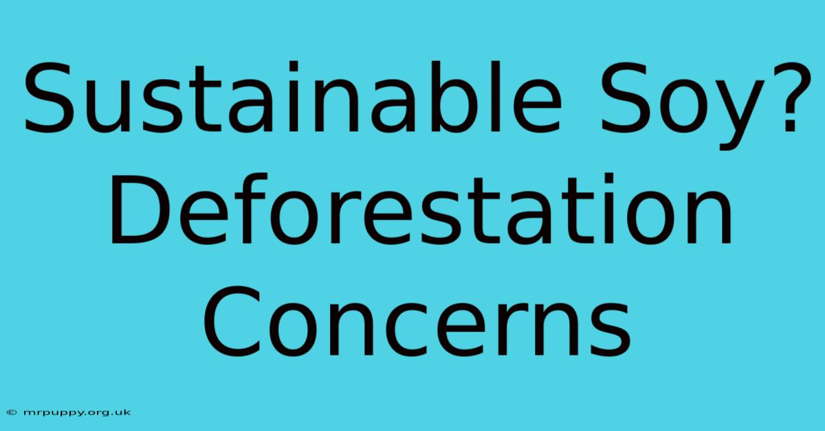 Sustainable Soy? Deforestation Concerns