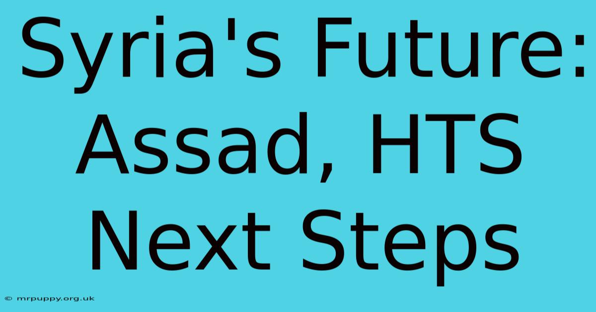 Syria's Future: Assad, HTS Next Steps