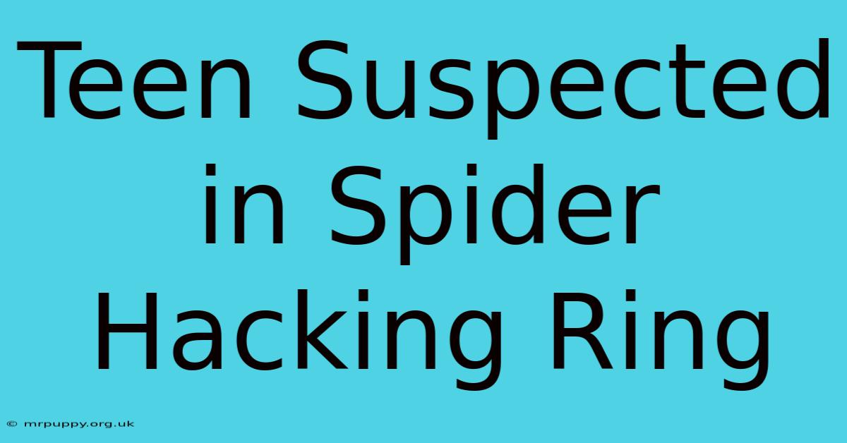 Teen Suspected In Spider Hacking Ring