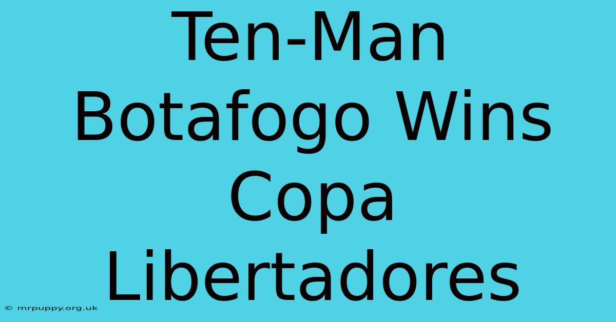 Ten-Man Botafogo Wins Copa Libertadores