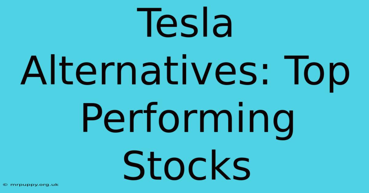 Tesla Alternatives: Top Performing Stocks 