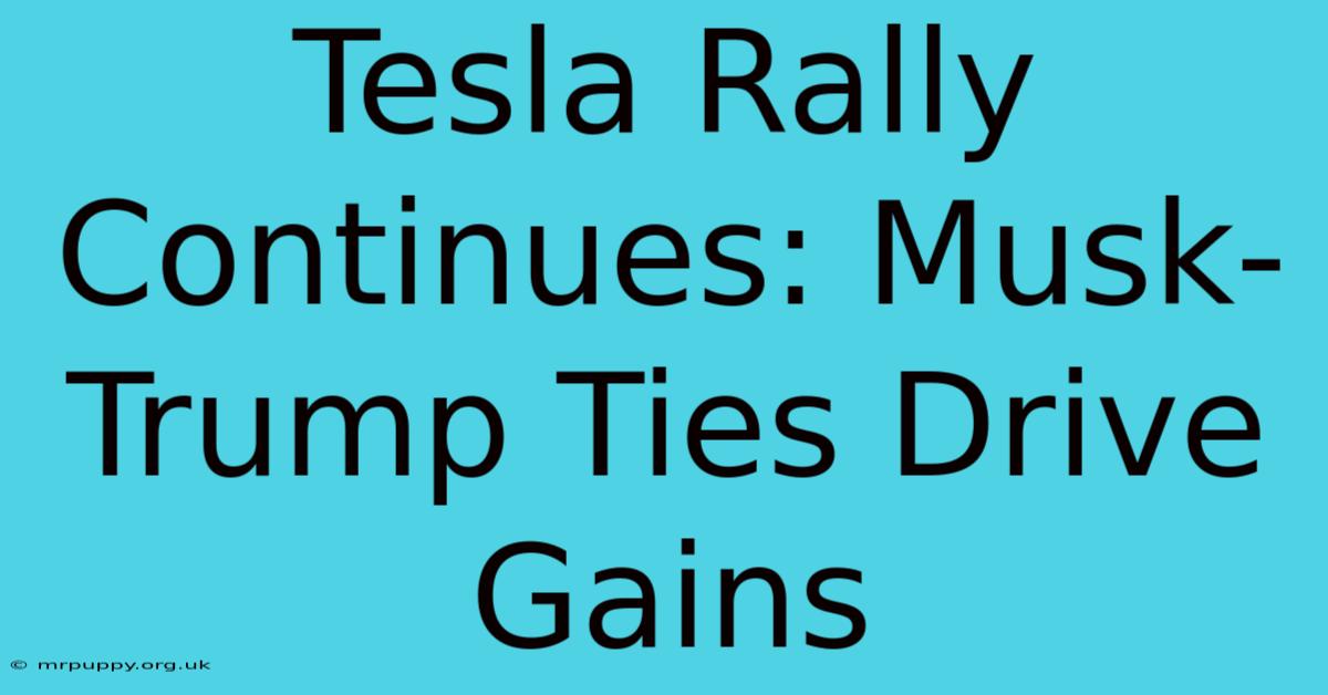 Tesla Rally Continues: Musk-Trump Ties Drive Gains