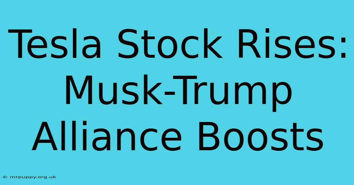 Tesla Stock Rises: Musk-Trump Alliance Boosts