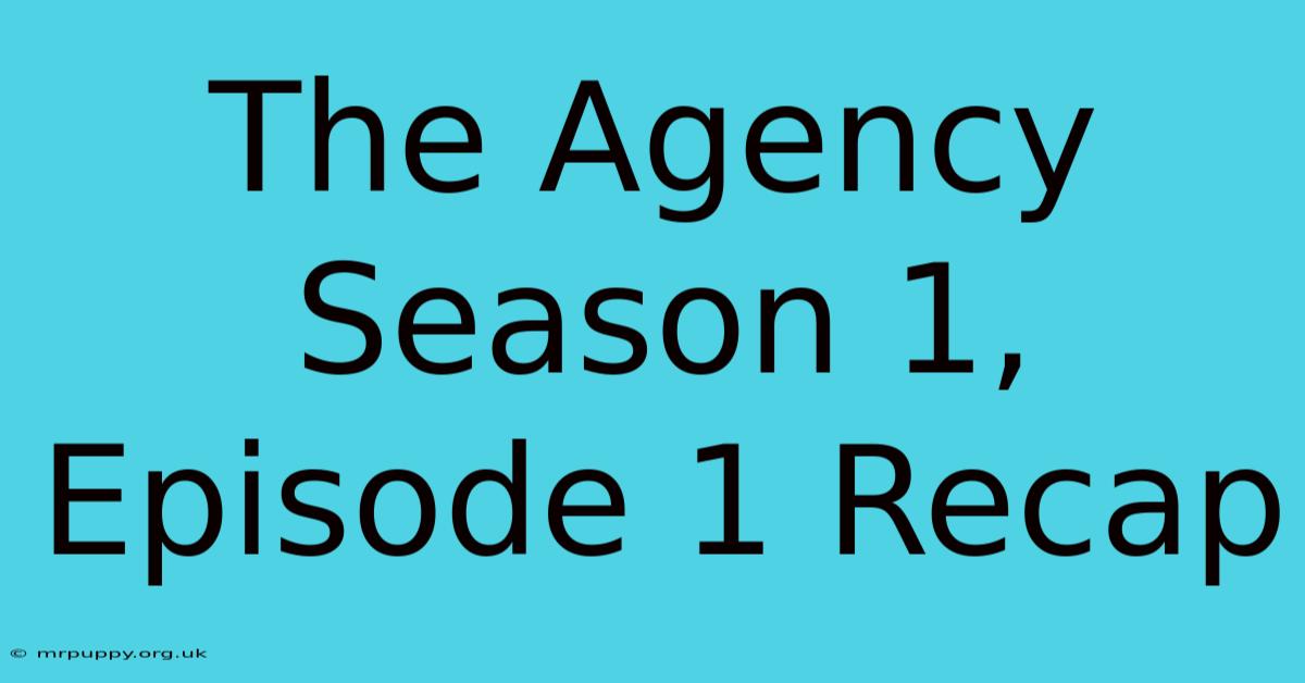 The Agency Season 1, Episode 1 Recap