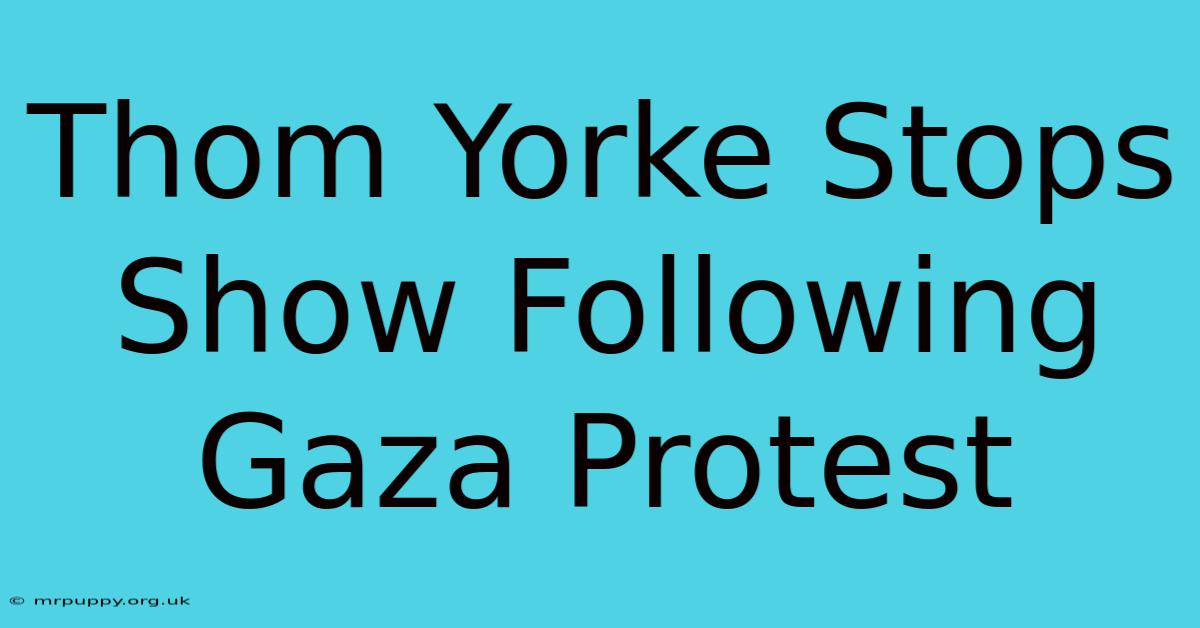 Thom Yorke Stops Show Following Gaza Protest 