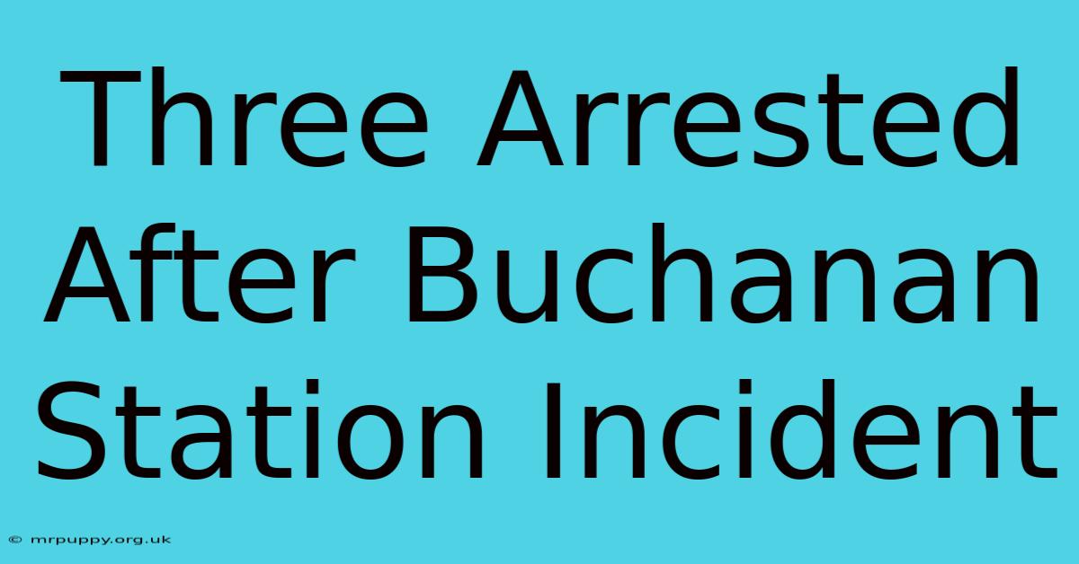 Three Arrested After Buchanan Station Incident