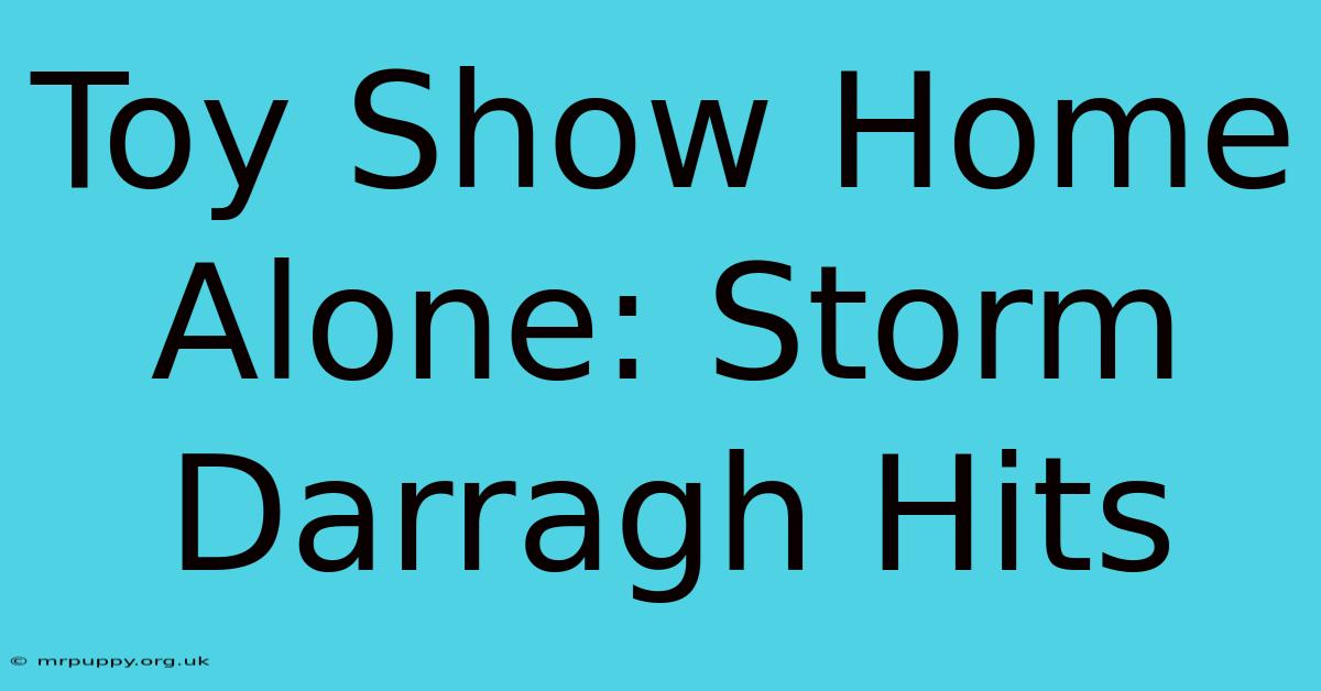 Toy Show Home Alone: Storm Darragh Hits