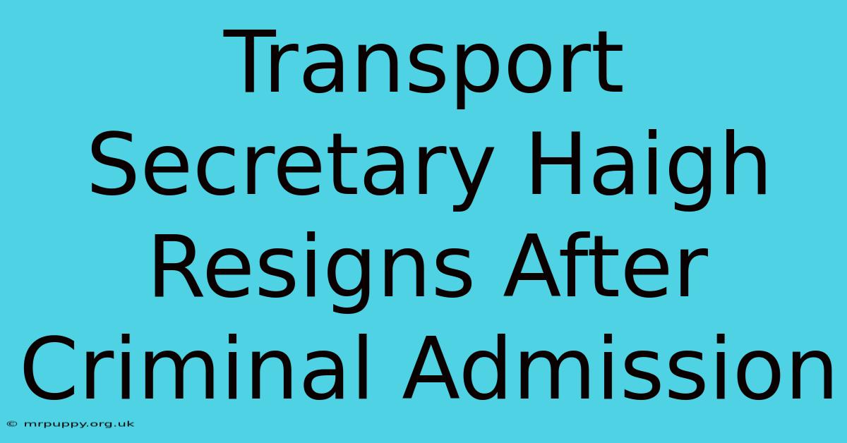 Transport Secretary Haigh Resigns After Criminal Admission