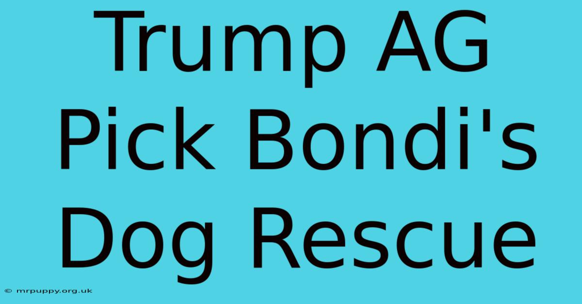 Trump AG Pick Bondi's Dog Rescue