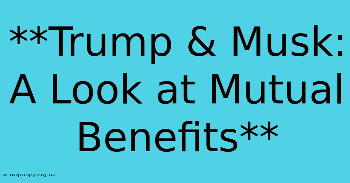 **Trump & Musk: A Look At Mutual Benefits**