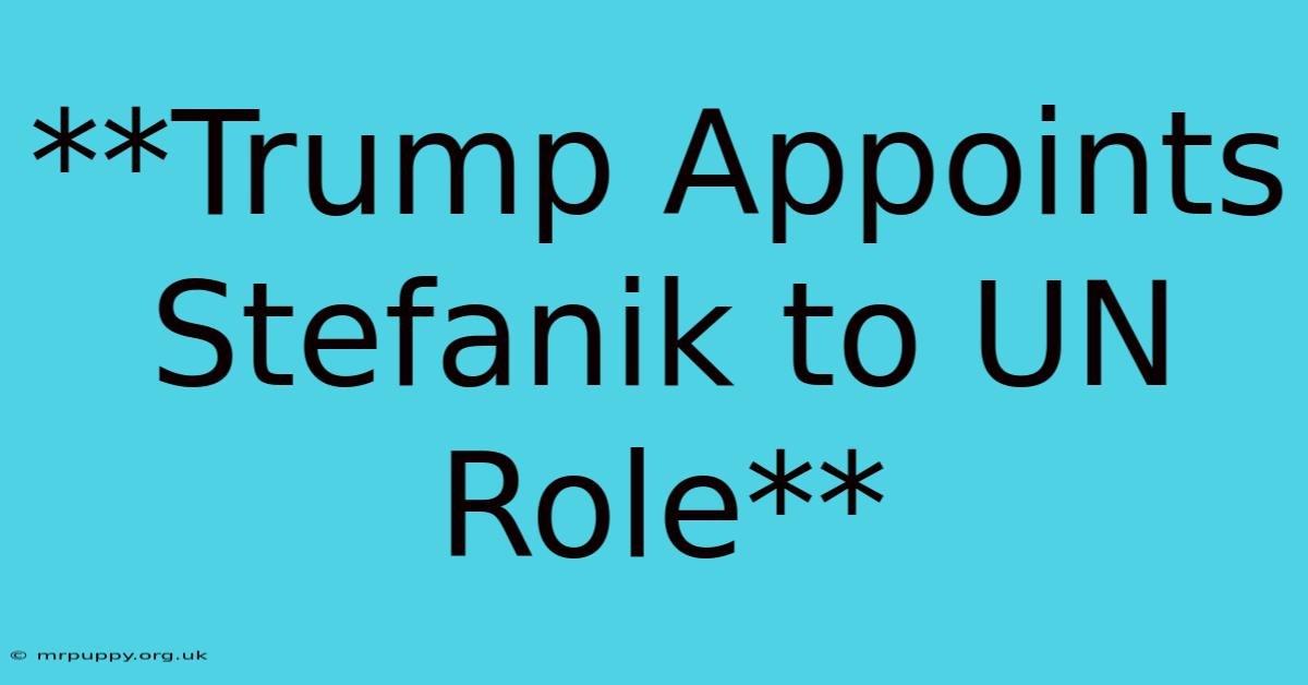 **Trump Appoints Stefanik To UN Role** 