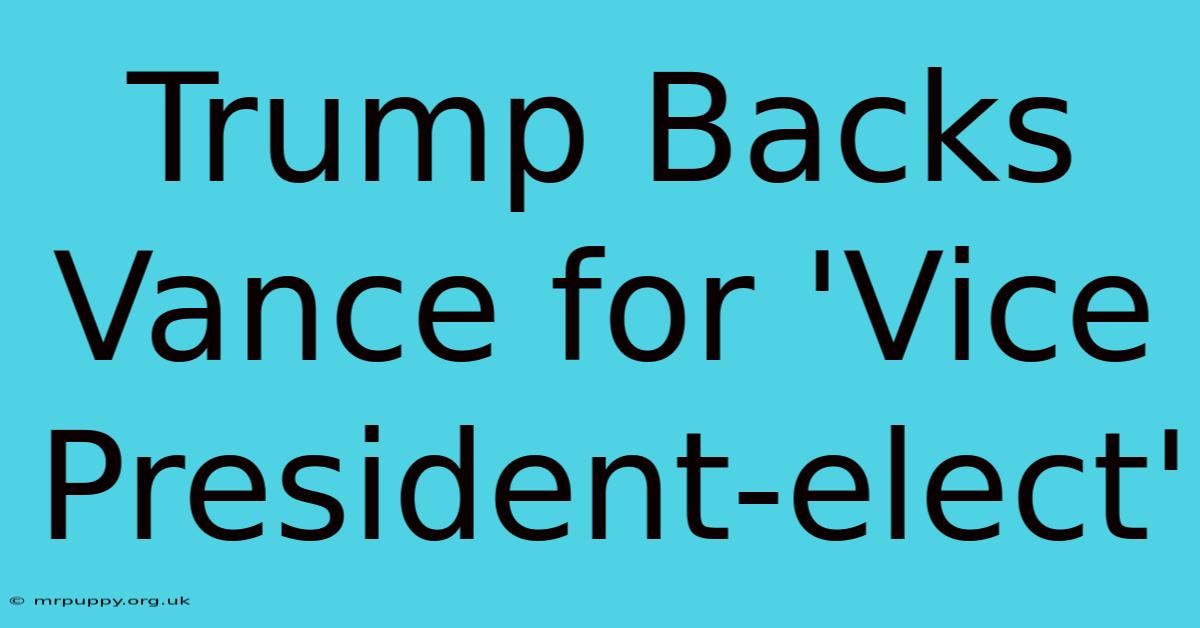 Trump Backs Vance For 'Vice President-elect'