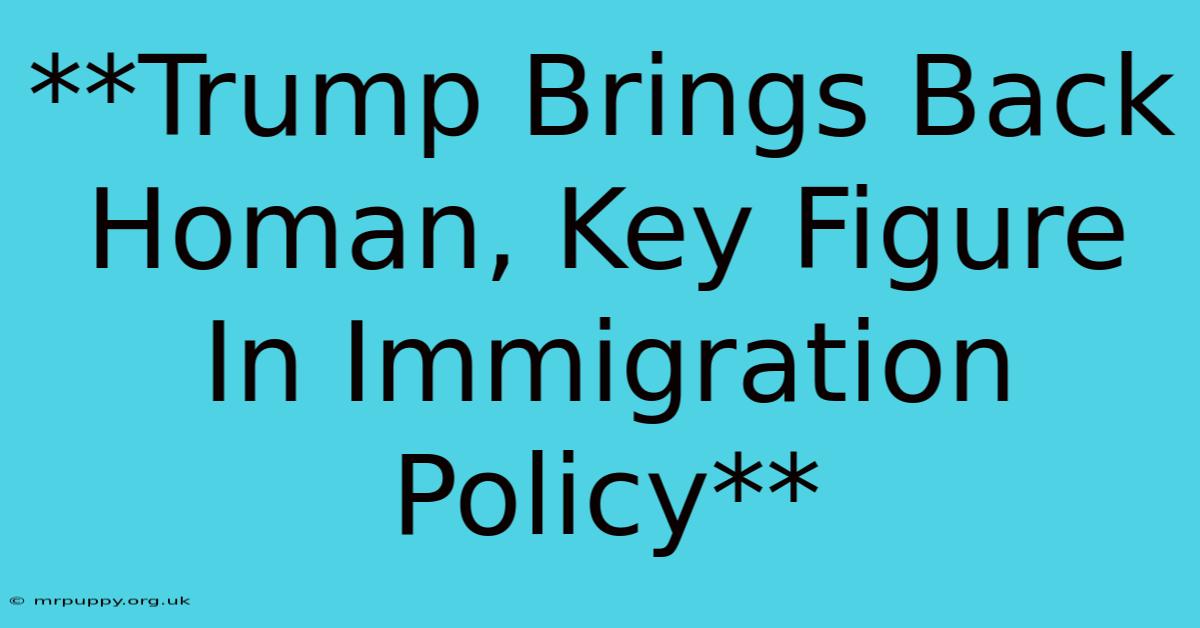 **Trump Brings Back Homan, Key Figure In Immigration Policy** 