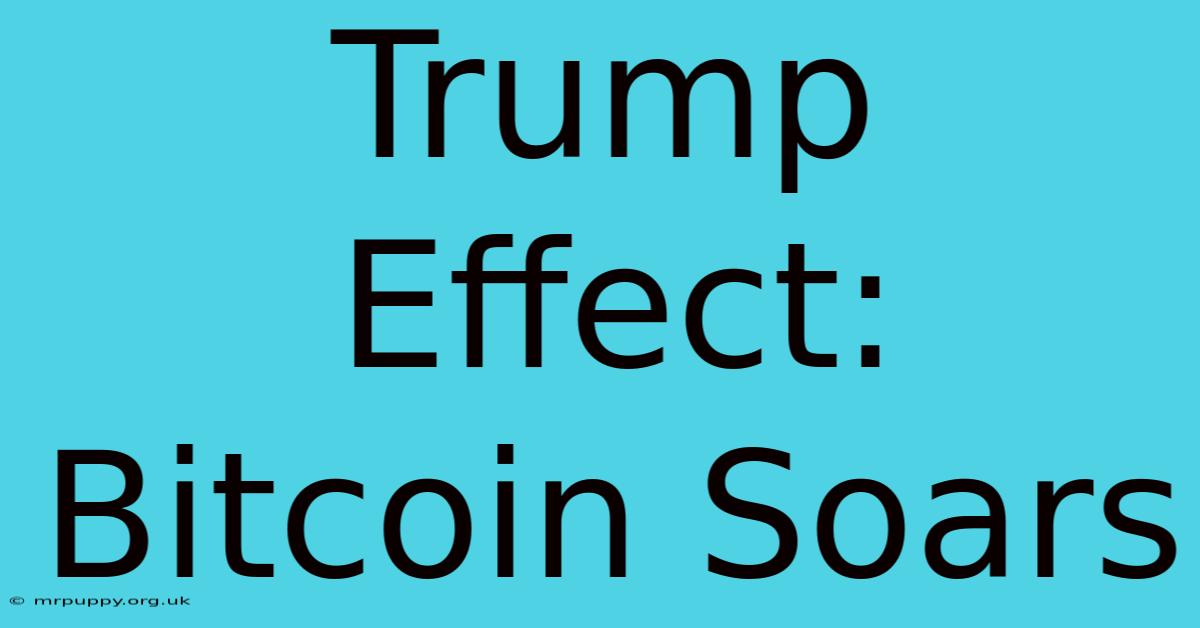 Trump Effect: Bitcoin Soars