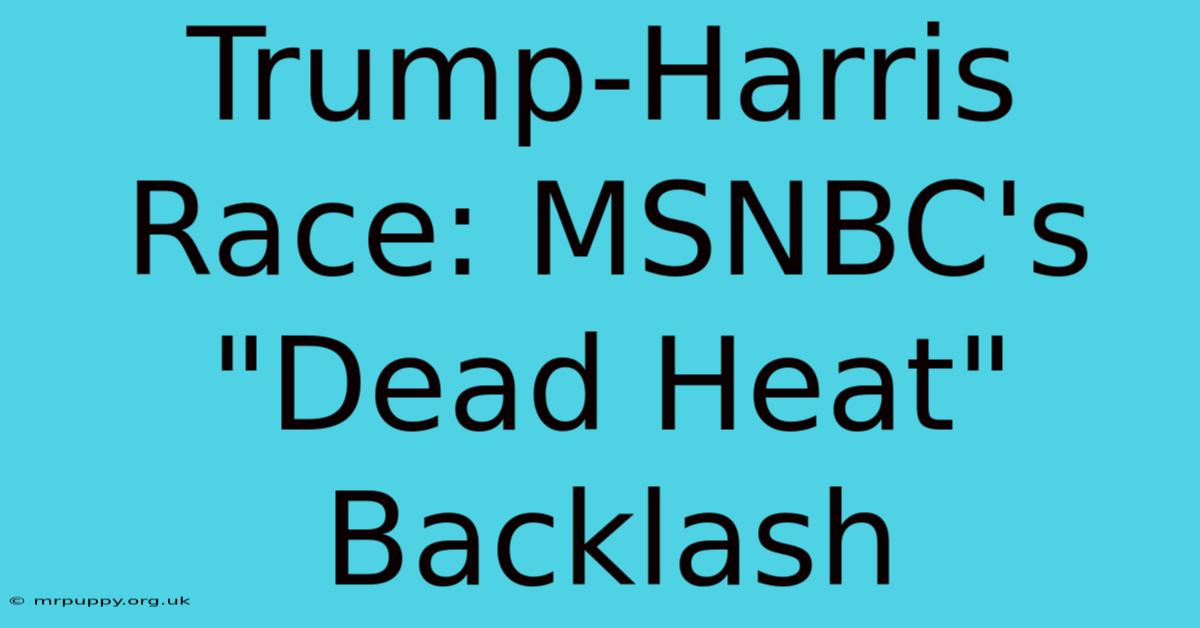 Trump-Harris Race: MSNBC's 