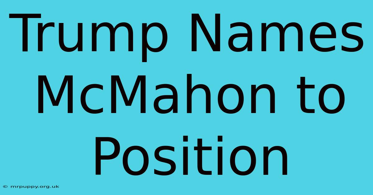 Trump Names McMahon To Position