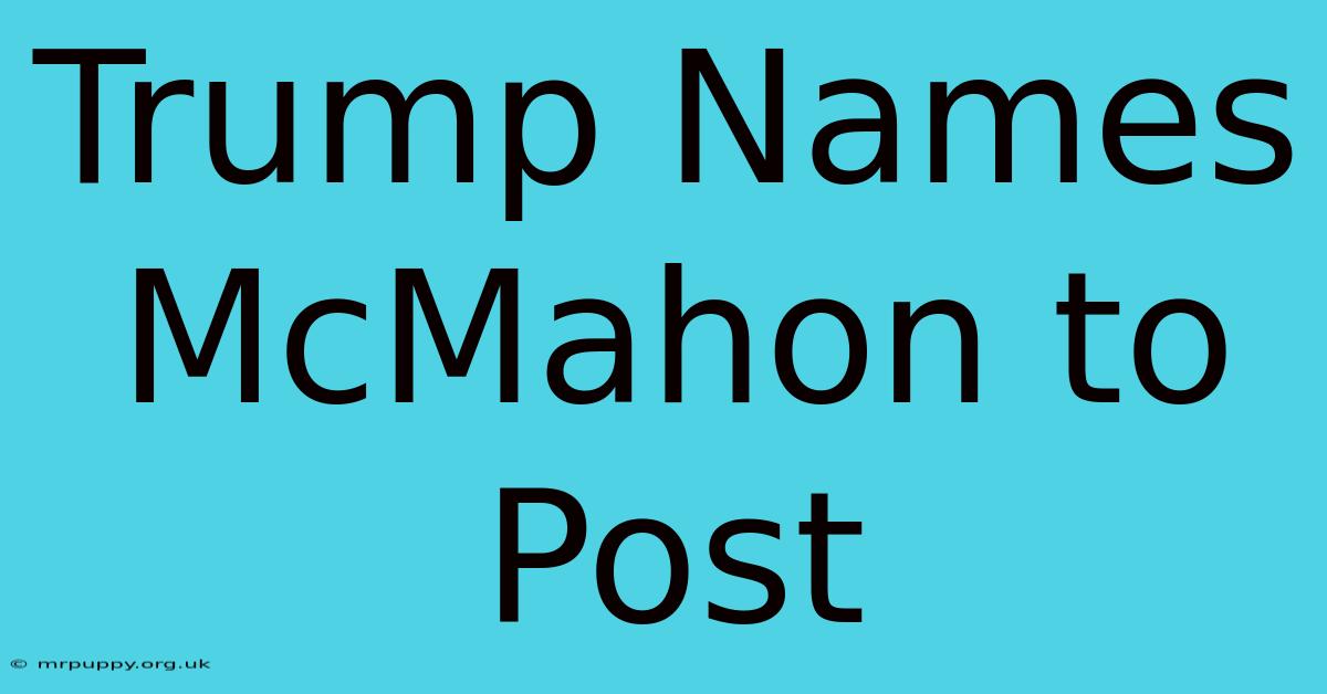 Trump Names McMahon To Post