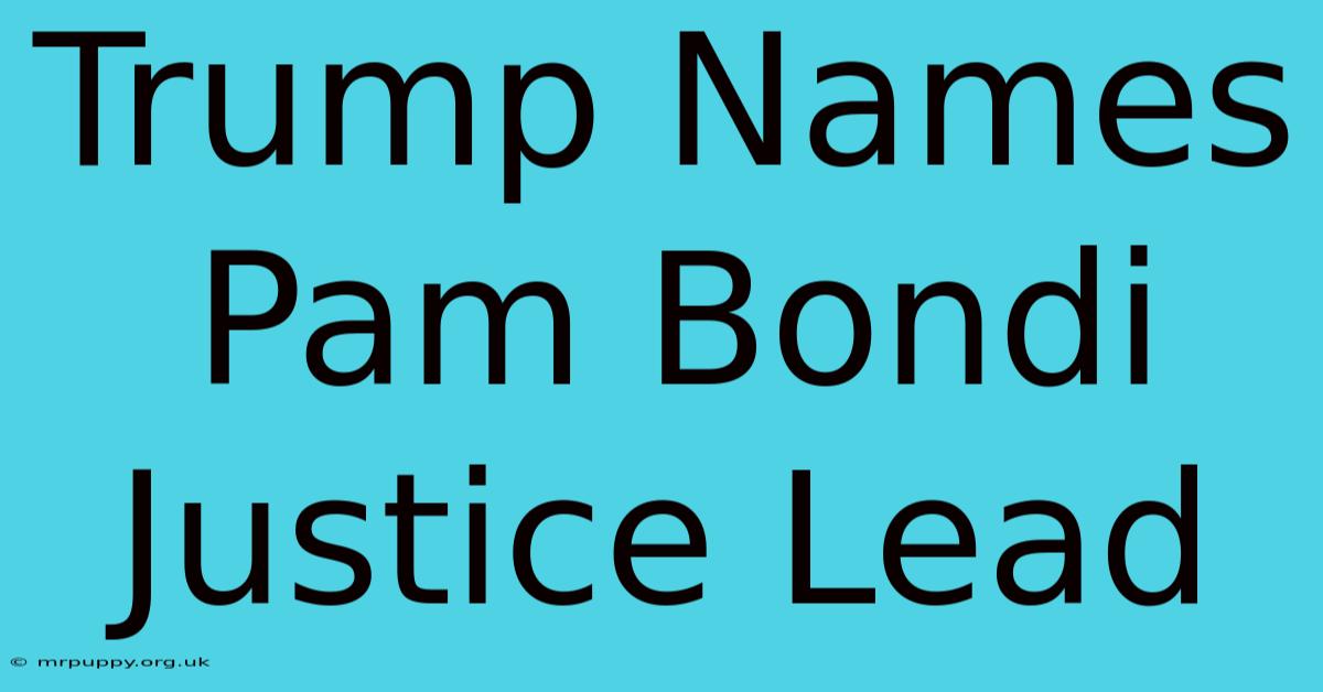 Trump Names Pam Bondi Justice Lead