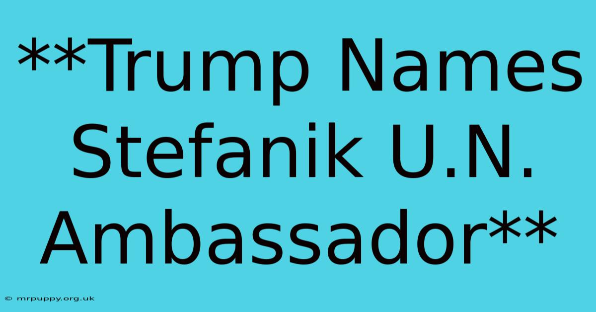 **Trump Names Stefanik U.N. Ambassador**