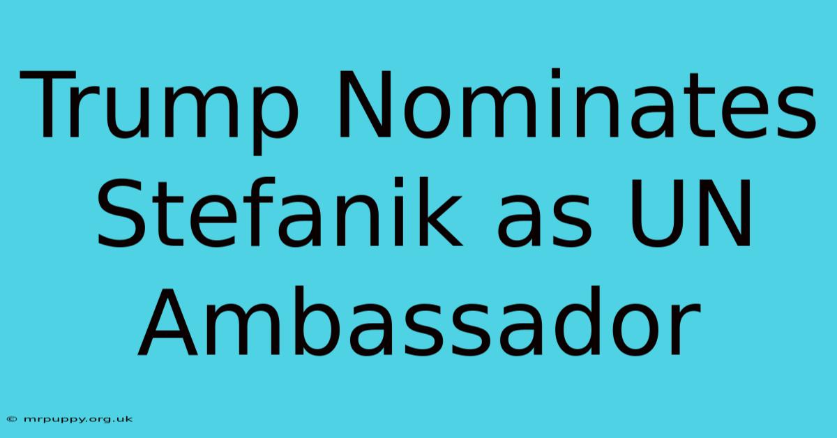 Trump Nominates Stefanik As UN Ambassador 