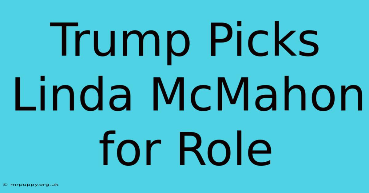 Trump Picks Linda McMahon For Role