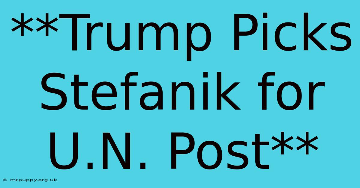 **Trump Picks Stefanik For U.N. Post** 