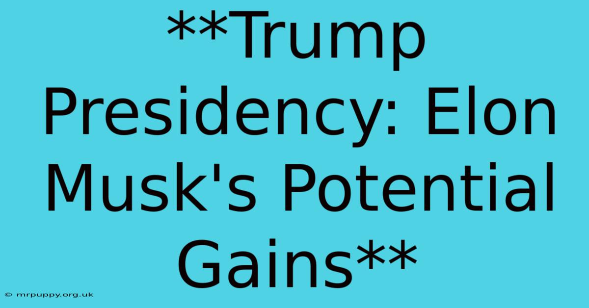 **Trump Presidency: Elon Musk's Potential Gains**