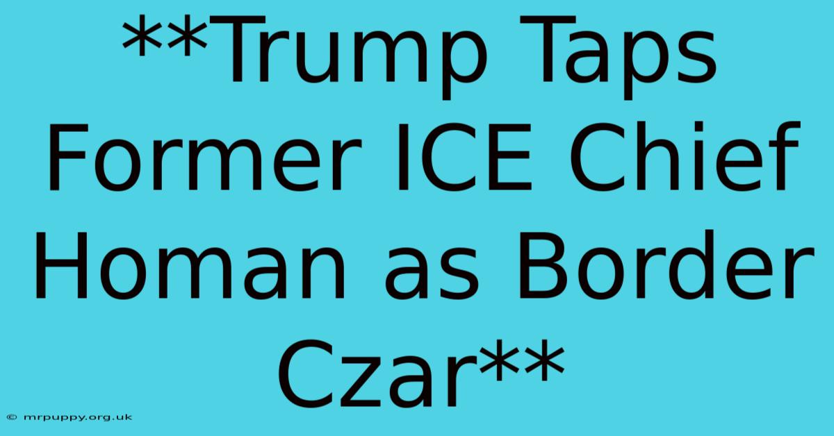 **Trump Taps Former ICE Chief Homan As Border Czar**