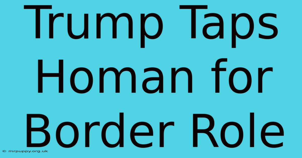 Trump Taps Homan For Border Role 