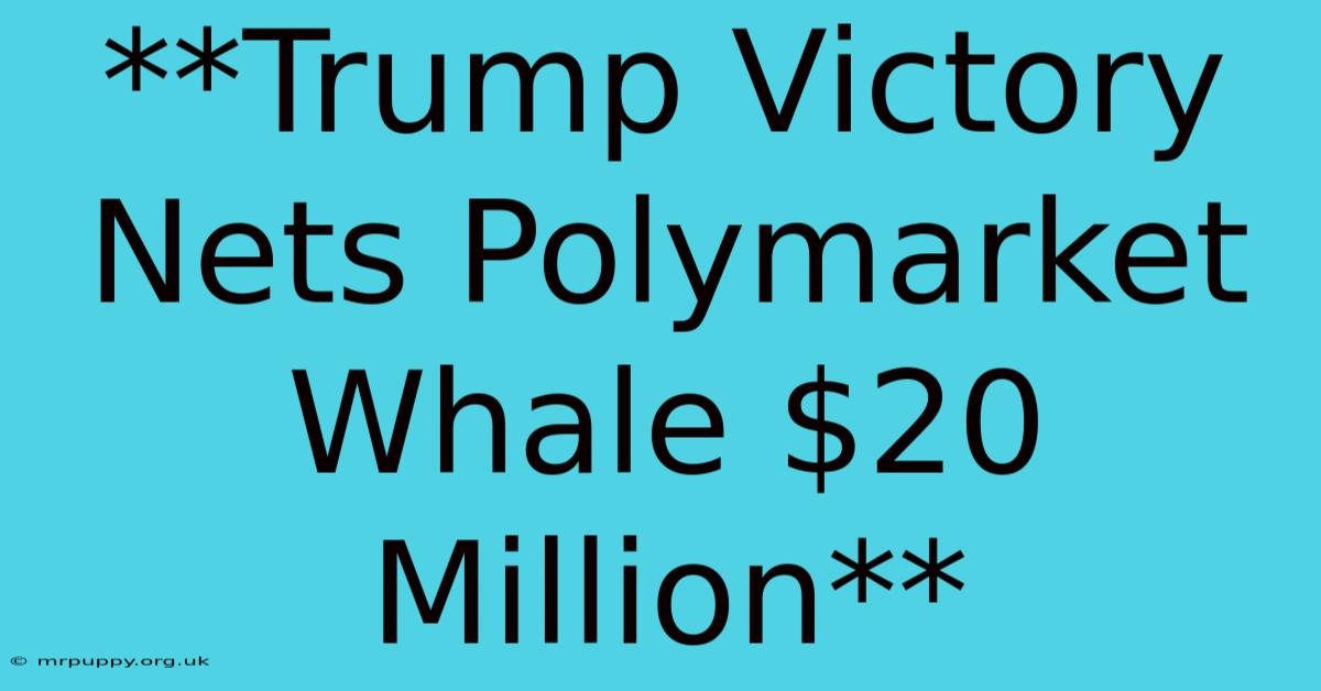 **Trump Victory Nets Polymarket Whale $20 Million**