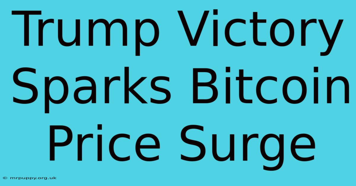 Trump Victory Sparks Bitcoin Price Surge 