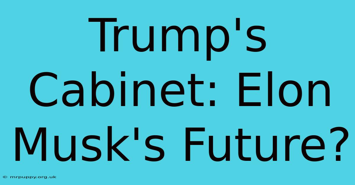 Trump's Cabinet: Elon Musk's Future? 