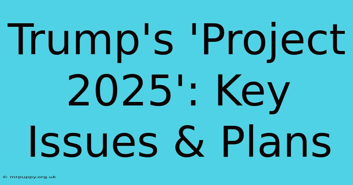 Trump's 'Project 2025': Key Issues & Plans