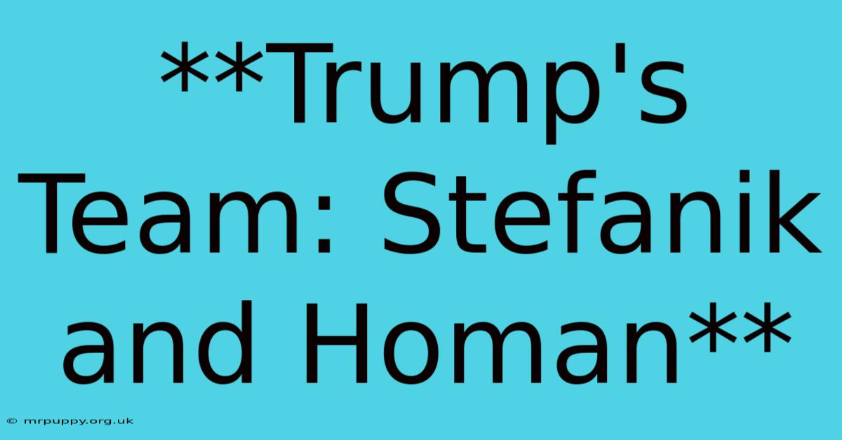 **Trump's Team: Stefanik And Homan** 