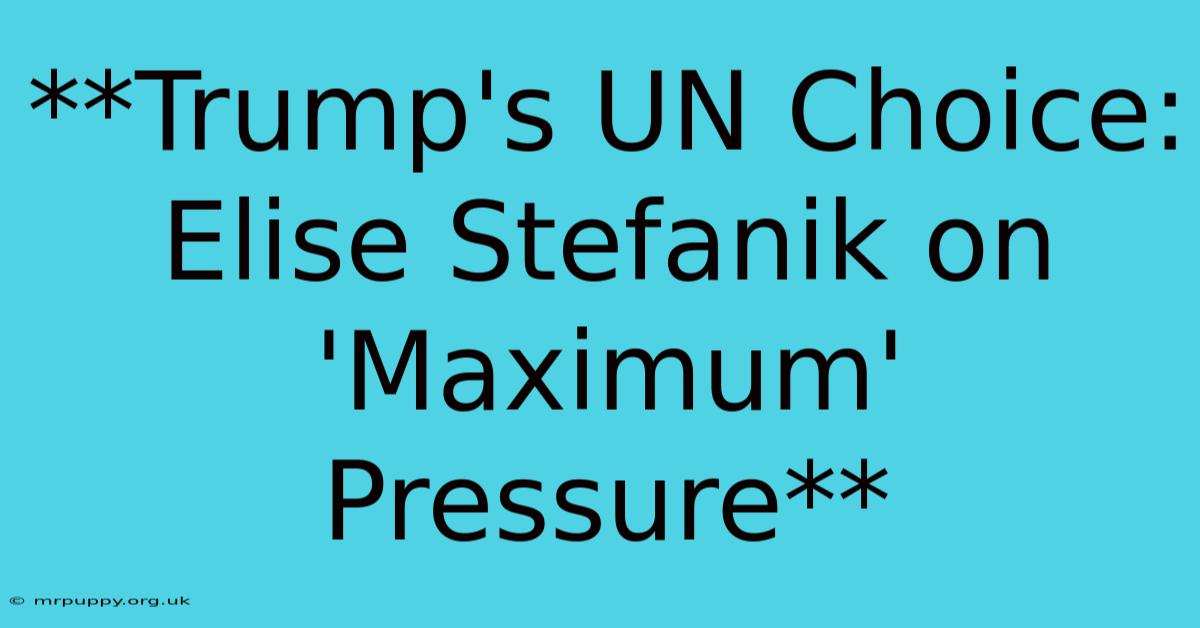 **Trump's UN Choice: Elise Stefanik On 'Maximum' Pressure** 