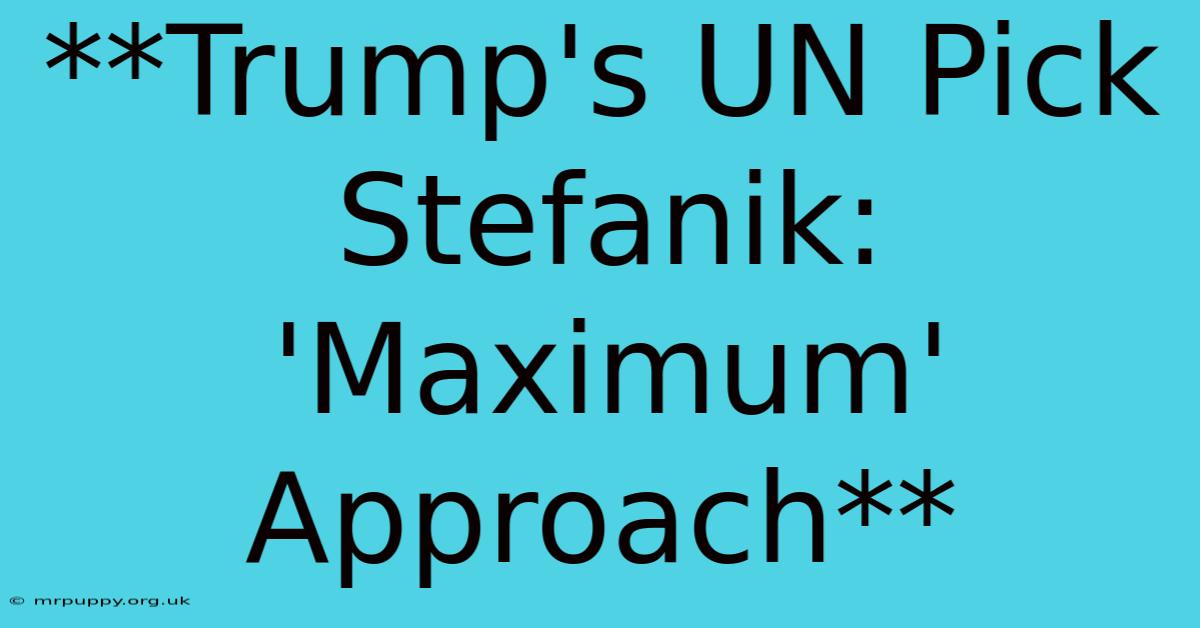 **Trump's UN Pick Stefanik: 'Maximum' Approach** 