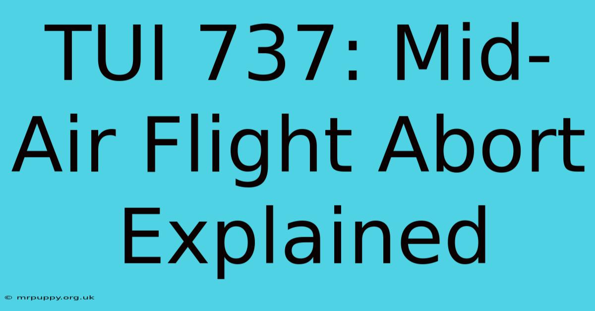 TUI 737: Mid-Air Flight Abort Explained