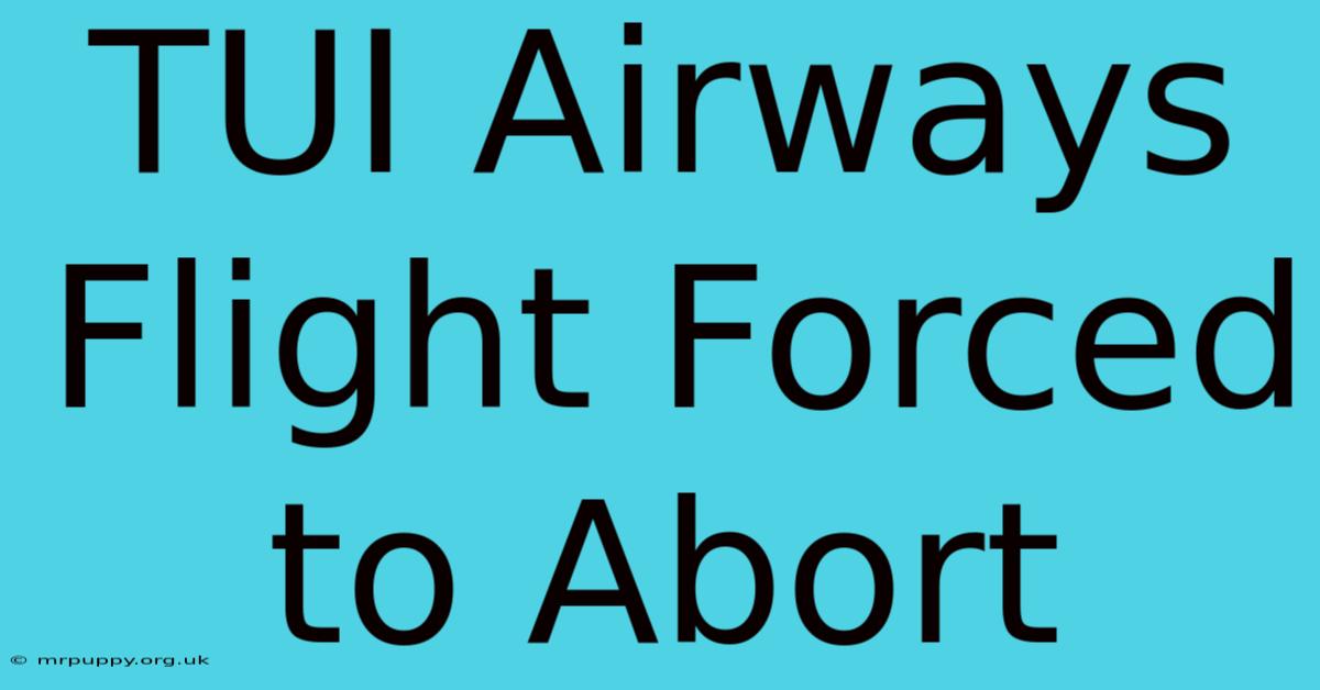 TUI Airways Flight Forced To Abort