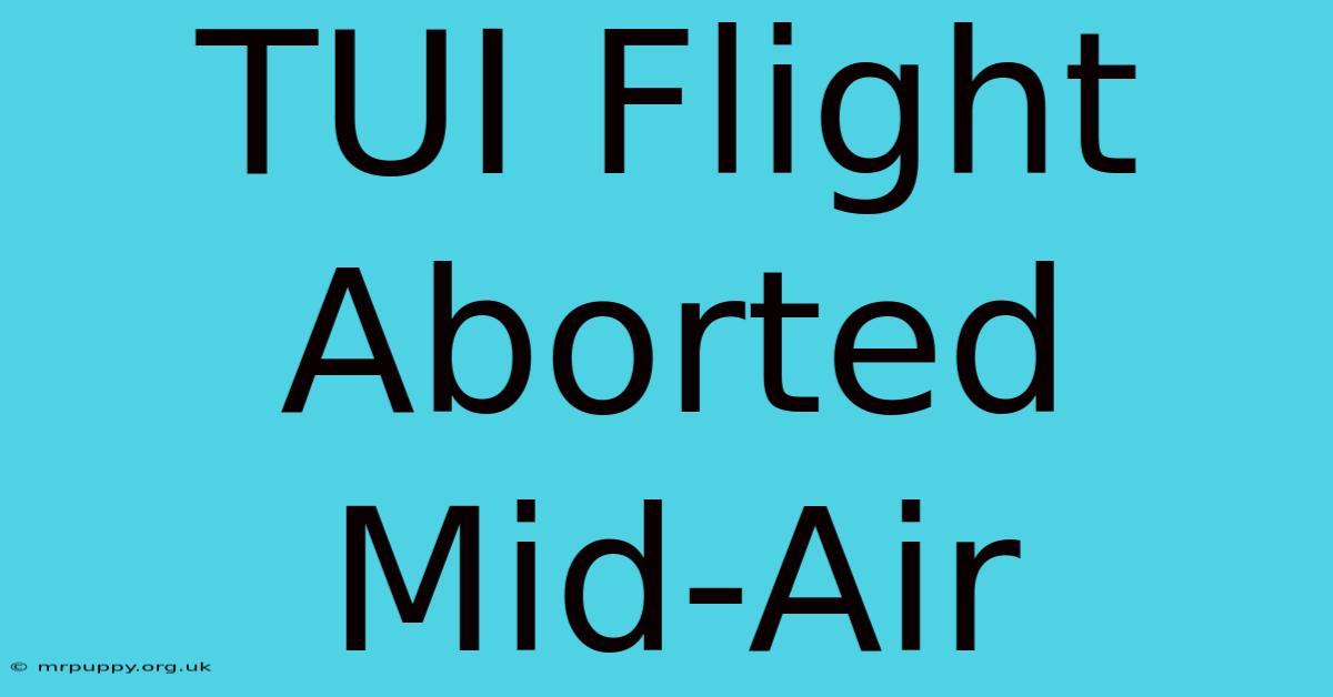 TUI Flight Aborted Mid-Air