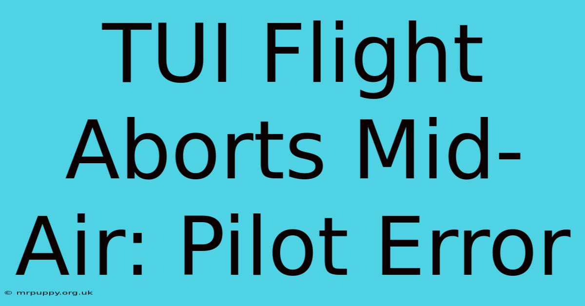 TUI Flight Aborts Mid-Air: Pilot Error