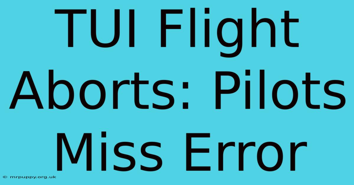 TUI Flight Aborts: Pilots Miss Error