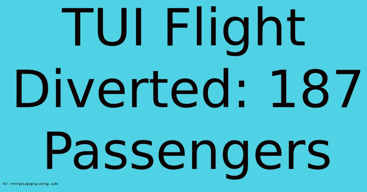 TUI Flight Diverted: 187 Passengers