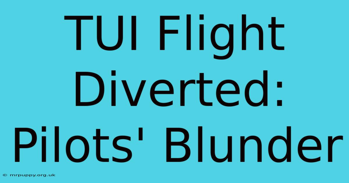 TUI Flight Diverted: Pilots' Blunder